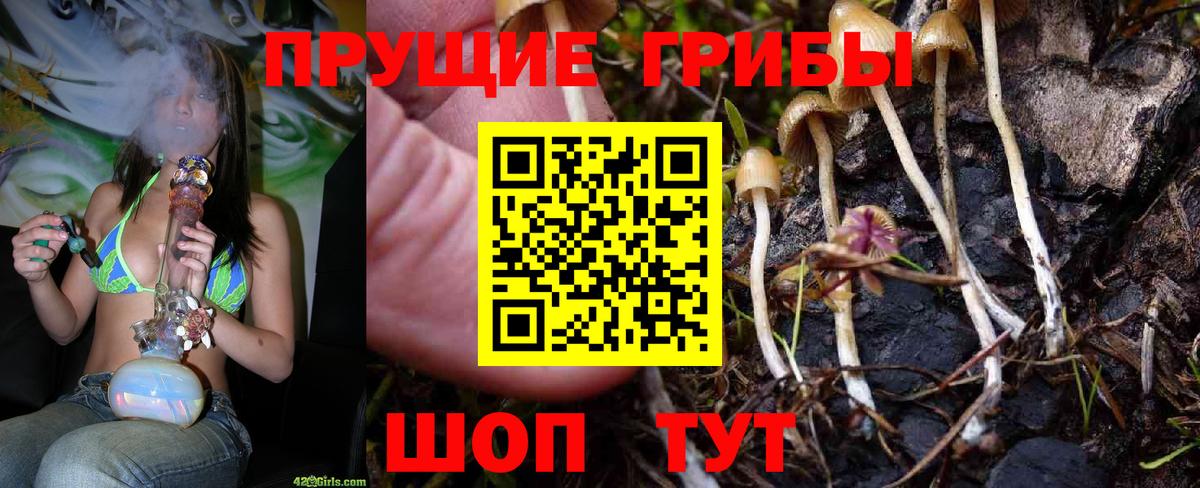 Псилоцибиновые грибы Cubensis Щёлково