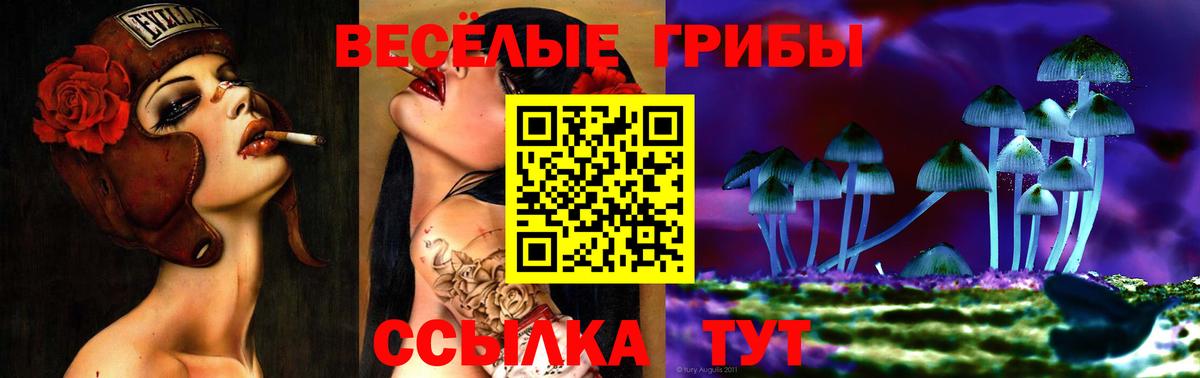 Псилоцибиновые грибы Psilocybine cubensis  Галлюциногенные грибы GOLDEN TEACHER  Щёлково  Вход с VPN 